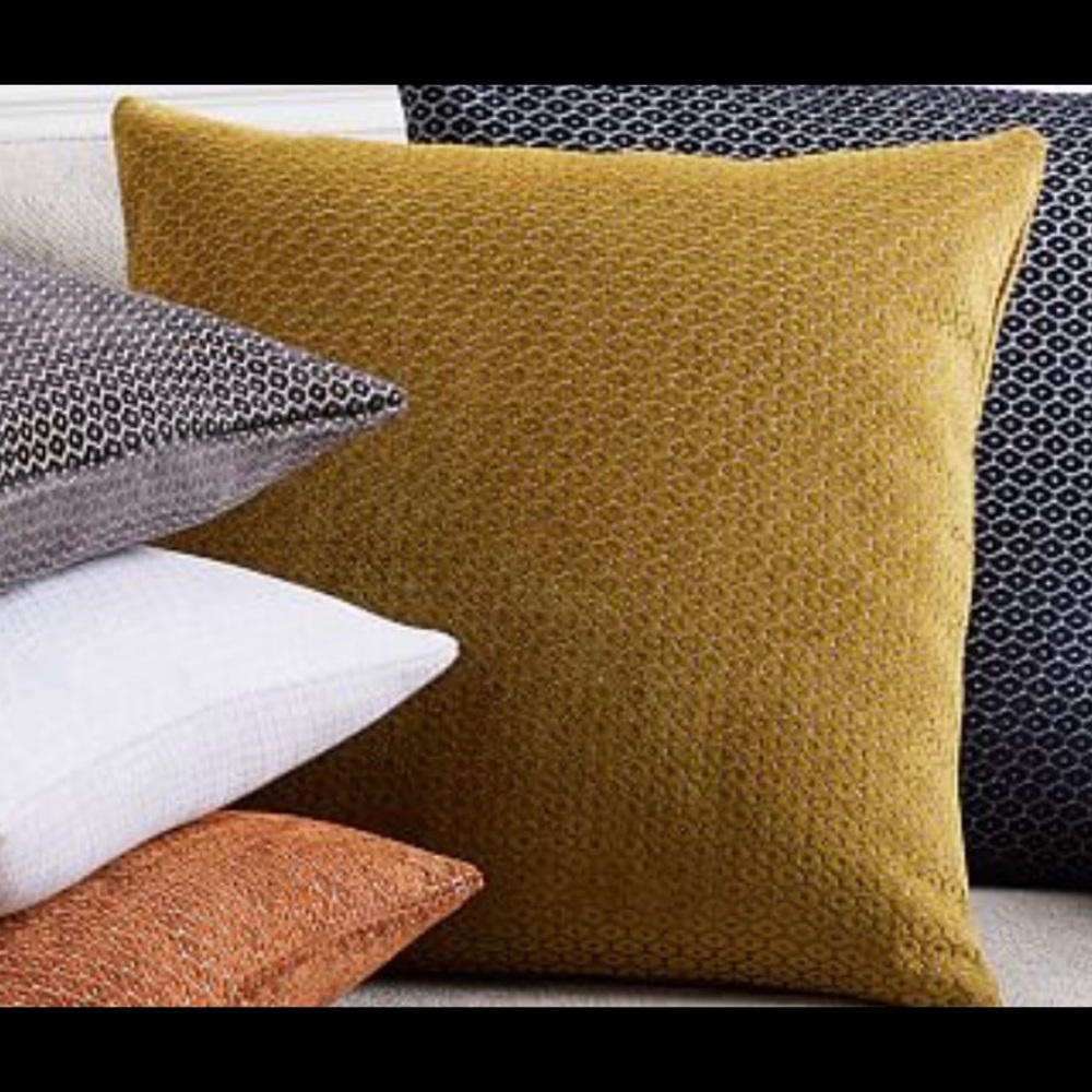 NWT West Elm Horseradish Pillow covers 2x velvet